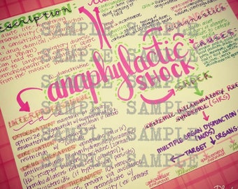 Anaphylactic Shock- Nursing Notes/ Concept Map- Medical Surgical Semester