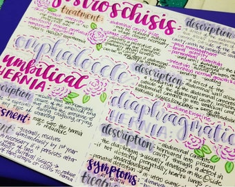 Gastroschisis, Omphalocele, Umbilical Hernia, Diaphragmatic Hernia- Nursing Notes/ Concept Map- Pediatrics Semester Fall 2018