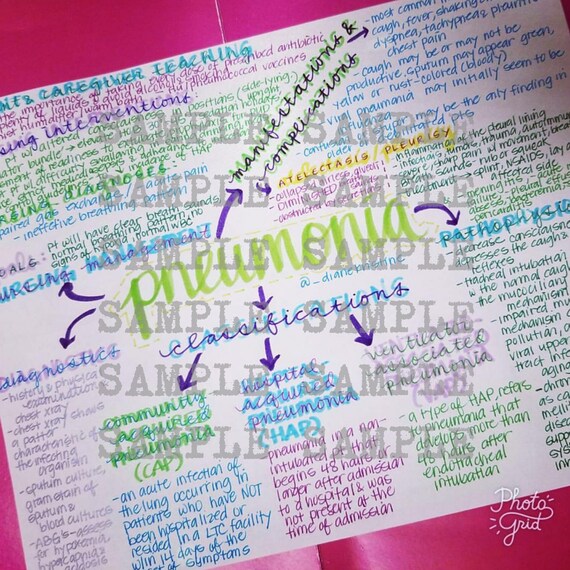 pneumonia concept map