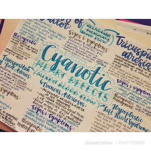 Cyanotic Heart Defects- Pflegenotizen/ Concept Map- Pädiatrie Semester