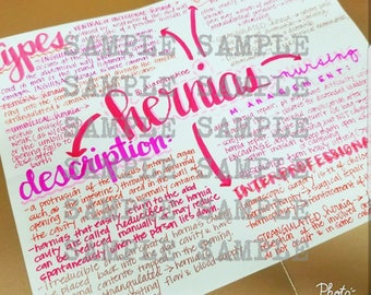 Hernias- Nursing Notes/ Concept Map- Medical Surgical Semester