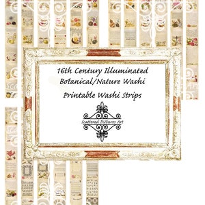 16th Century Illuminated Botanical/Nature Washi - Digital Printable