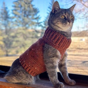 Cozy Cat Sweater Crochet Pattern | Crochet Cat Jumper | PDF Crochet Pattern Download