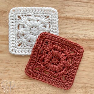 May include: Two crocheted squares, one white and one rust colored, with a floral design in the center.
