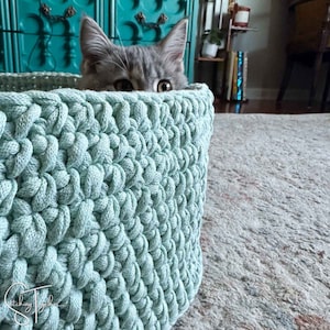 May include: A light blue crocheted basket with a cat peeking out from the top. The cat has gray and white fur and is looking directly at the camera.