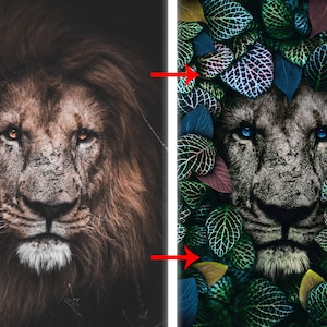 Puede incluir: Imagen dividida que muestra una cara de le&oacute;n. El lado izquierdo muestra un le&oacute;n marr&oacute;n con ojos naranjas sobre un fondo oscuro. El lado derecho representa una cara de le&oacute;n con ojos azules, rodeada de hojas verdes, azules y moradas.