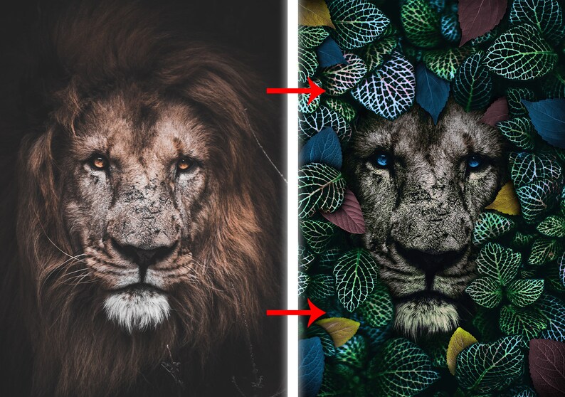 Puede incluir: Imagen dividida que muestra una cara de le&oacute;n. El lado izquierdo muestra un le&oacute;n marr&oacute;n con ojos naranjas sobre un fondo oscuro. El lado derecho representa una cara de le&oacute;n con ojos azules, rodeada de hojas verdes, azules y moradas.
