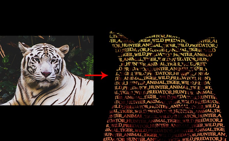 Puede incluir: Imagen de un tigre blanco con rayas negras, sobre un fondo de follaje verde. La cara del tigre est&aacute; enfocada. A la derecha, una silueta de tigre est&aacute; formada por el texto "TIGER, WILD, PREDATOR, HUNTER, ANIMAL."