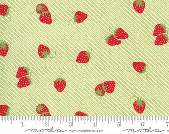 Sunday Stroll by Bonnie & Camille for Moda Fabrics –Green Strawberries Yardage - MODA FABRIC