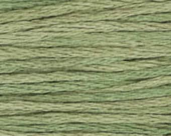 Weeks Dye Works TARRAGON 6 Strand Hand-Dyed Embroidery Floss - W-2199