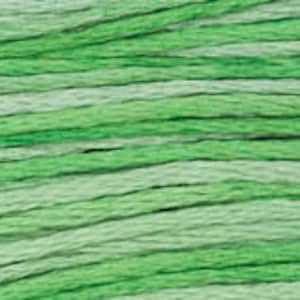 May include: Close-up of a skein of embroidery floss in shades of green. The thread is tightly wound, with varying tones of light and dark green creating a striped pattern. The texture of the floss is visible, suggesting a soft, cotton material. Ideal for needlepoint and cross-stitch projects.