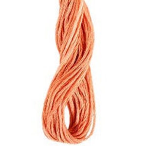 May include: A spool of peach-colored embroidery floss.