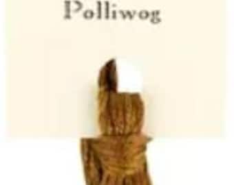 Classic Colorworks POLLIWOG  CCT-223  Cross Stitch Floss ~  Embroidery Floss