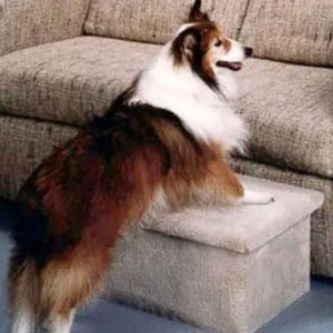 Single Carpeted Pet Step