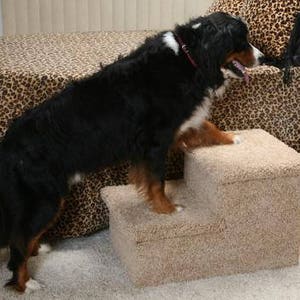 Double Pet Step, carpeted