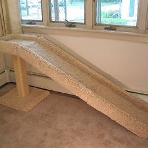 Cat Ramp