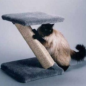 Z Scratcher