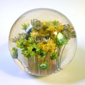 Vintage LUCITE ACRYLIC PAPERWEIGHT with Green & Yellow Strawflowers Daisyglas 3&quot;