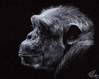 Dessin de chimpanzé n° 1 - Impression giclée d’un dessin original au crayon de luminance