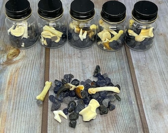 Coyote Bones and Iolite Crystals