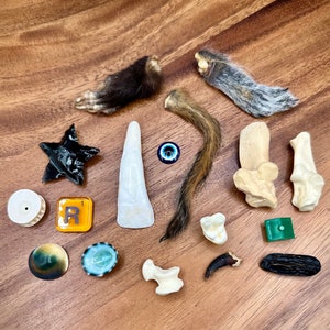 May include: A collection of animal bones, a small black star, a white and blue eye charm, a white ceramic tile with the letter "R" in orange, a small black and white button, a small blue and white button, a small black and gold button, a small white button, a small green button, a small black and brown button, and a small green button.