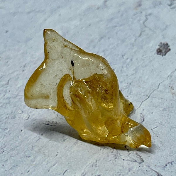 Amber with Bugs ~ Copal Amber