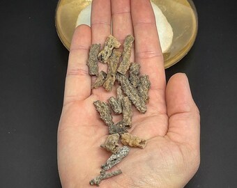 Fulgurite Lightning Necklace NCK-1024