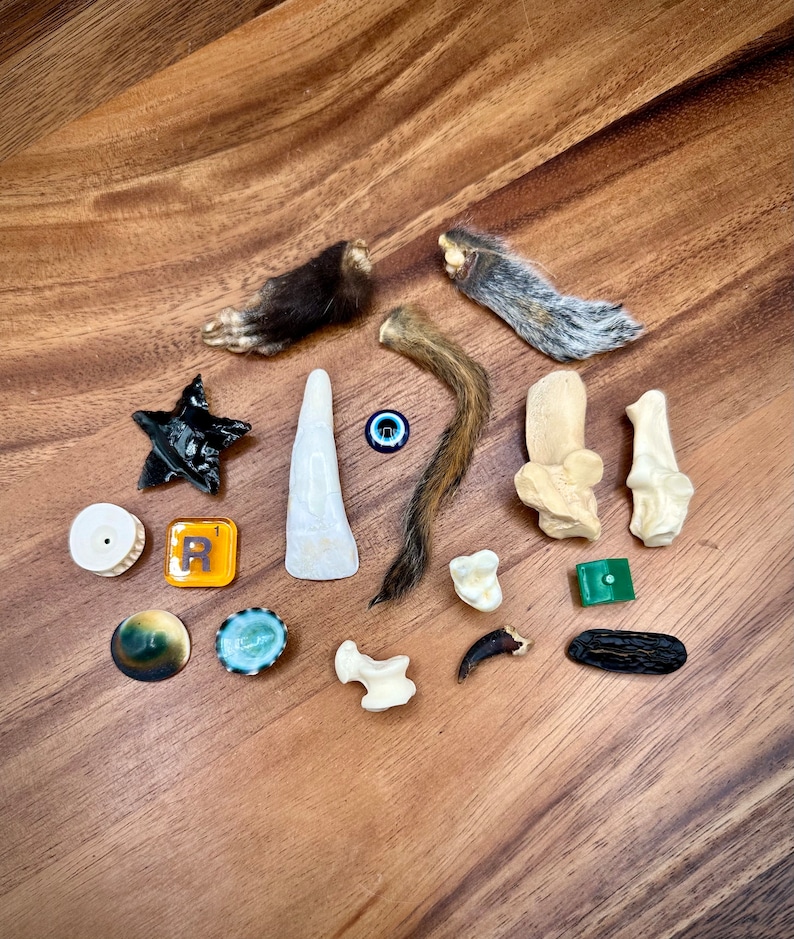 May include: A collection of animal bones, a small black star, a white and blue eye charm, a white ceramic tile with the letter "R" in orange, a small black and white button, a small blue and white button, a small black and gold button, a small white button, a small green button, a small black and brown button, and a small green button.