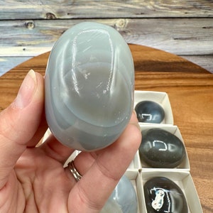 Può includere: Una collezione di pietre di agata lisce e levigate in varie tonalità di grigio. Le pietre sono esposte in piccole scatole bianche con bordi neri.