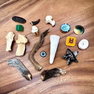 May include: A collection of various animal parts, including bones, fur, claws, and teeth, arranged on a wooden surface. There are also a few decorative items, such as a small green cube, a blue and white eye charm, and a black star-shaped object.