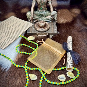 4 Shell Cowrie Divination Obi Cowry Divination Casting