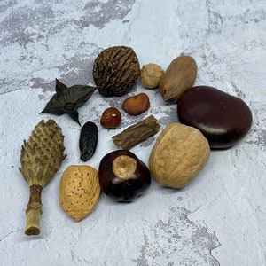 No Bones Throwing Set ~ Vegan Osteomancy Set ~ Eco Friendly Divination ~ Bone Throwing Set Add On