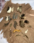 Mummified Paws ~ Taxidermy Feet   one