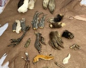 Mummified Paws ~ Taxidermy Feet   one