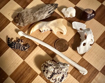 Alchemy Bone Throwing Set