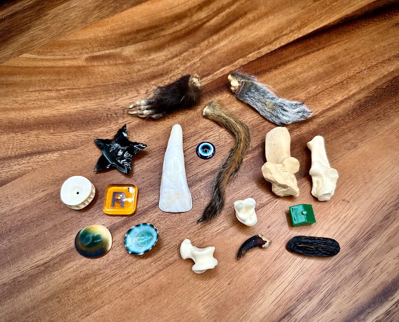 Spiritualist Bone Throwing Set image 3