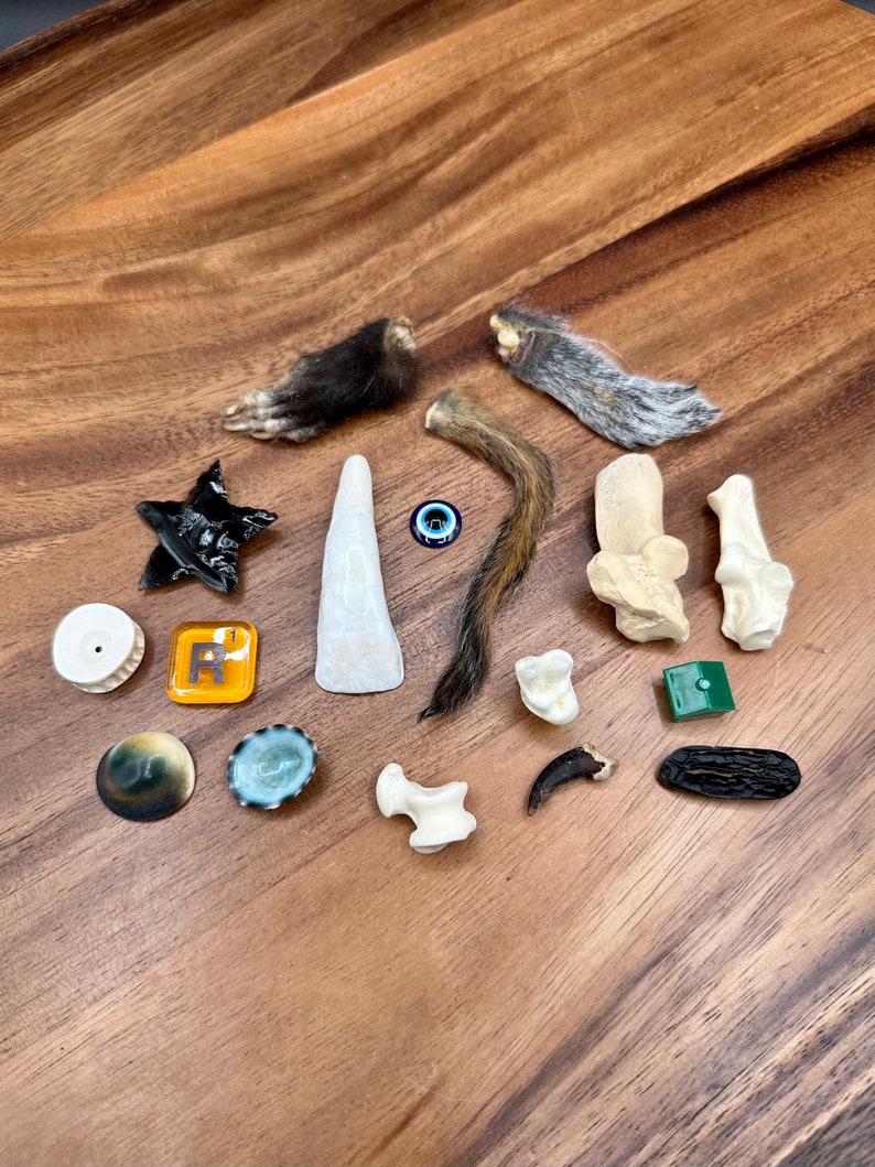 Spiritualist Bone Throwing Set image 5