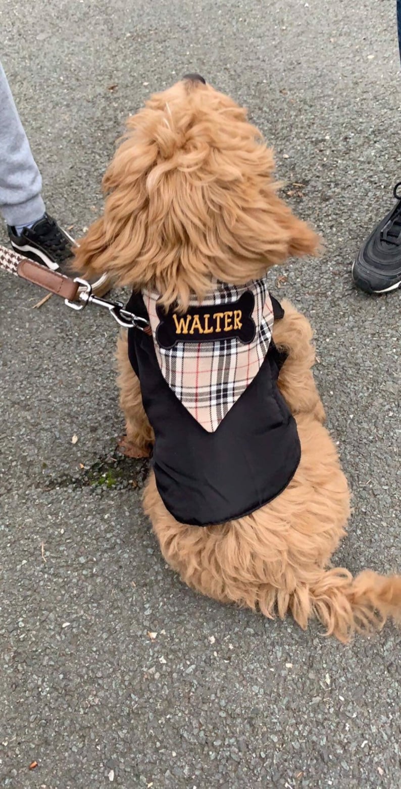 Personalised Dogs Bandana XS S M L. Any Name Can Be Etsy