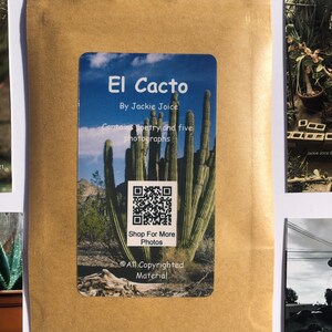 El Cacto
