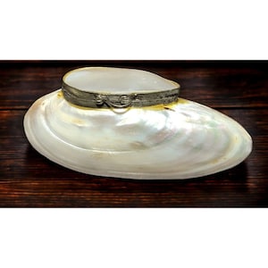 May include: A white seashell with a silver and gold hinged lid. The shell is smooth and has a pearlescent sheen.