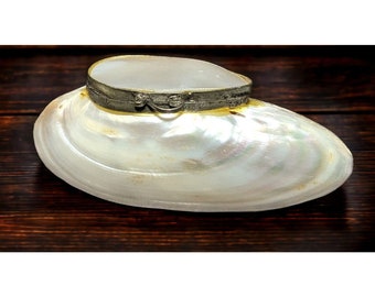 Vintage Shell Snuff Box