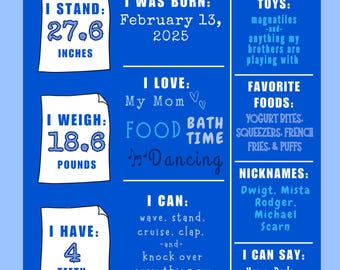Cumpleaños de ONEder Mifflin / Cumpleaños de The Office / Primer cumpleaños / Cumpleaños de niño y niña / The Office / Descarga instantánea / Póster de cumpleaños editable