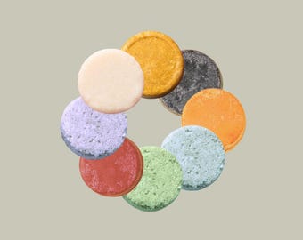 Trial Size Vegan Shampoo and Conditioner Bar: pH Balanced Haircare