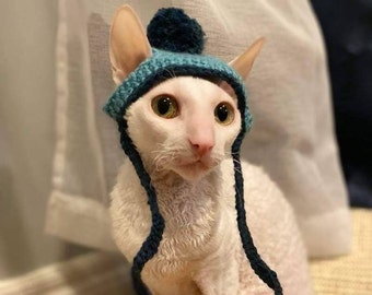 Pom pom hat for cats