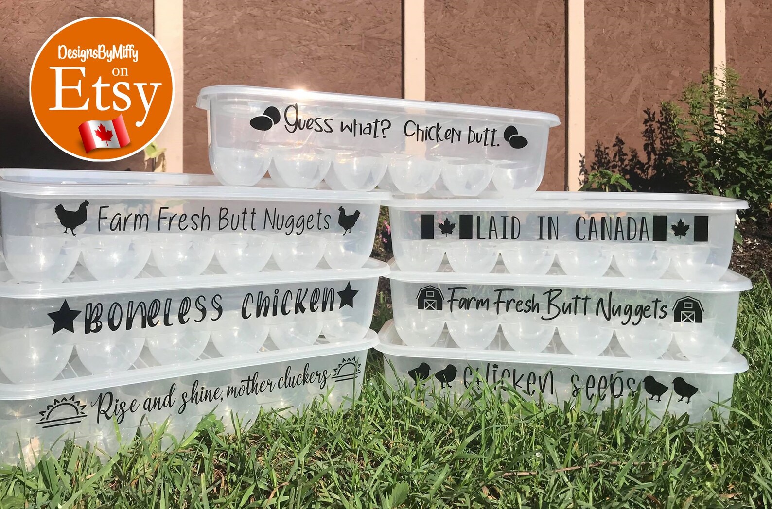 Vinyl Labels for Egg Cartons Funny Egg Sayings Customize Etsy Canada