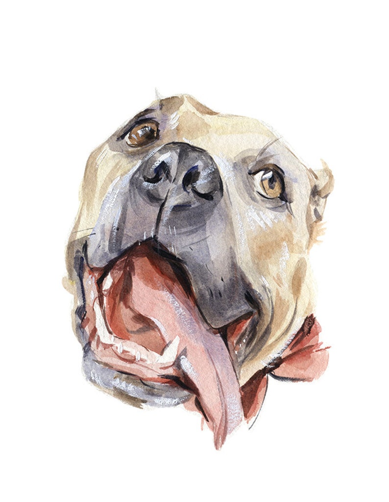 MULTI Pet Portrait Pet Memorial Watercolor Pet Portrait Etsy