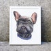 see more listings in the Pet Portrait section