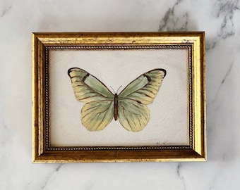 BUTTERFLY Art Print - Unframed Oil Painting Print Butterfly - Butterfly Original Art Print - Small Green Butterfly  -  Sage Butterfly Art