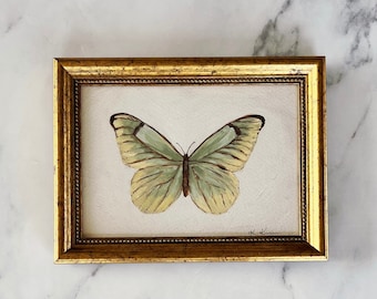 BUTTERFLY Art Print - Unframed Oil Painting Print Butterfly - Butterfly Original Art Print - Small Green Butterfly  -  Sage Butterfly Art