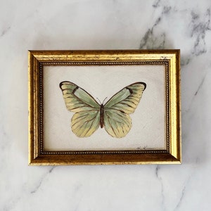 BUTTERFLY Art Print - Unframed Oil Painting Print Butterfly - Butterfly Original Art Print - Small Green Butterfly  -  Sage Butterfly Art